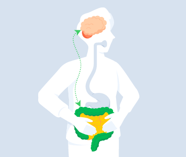 Una silueta con las manos en el estómago; se ven su cerebro y aparato digestivo unidos por flechas.